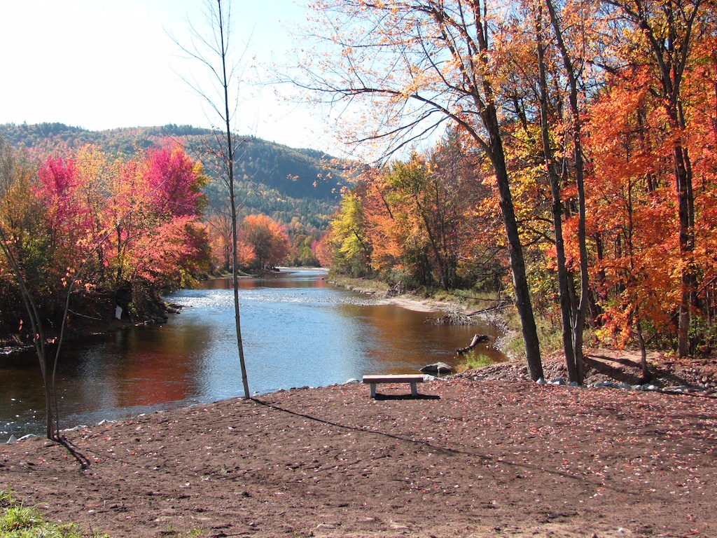 Ausable river in fall